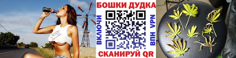 Где купить Зерноград A PVP АМФ КОКАИН ТГК Псилоцибиновые грибы Меф Бошки Шишки ГАШИШ