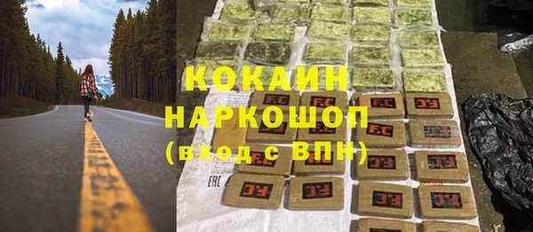 стафф Заводоуковск