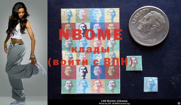 стафф Заводоуковск