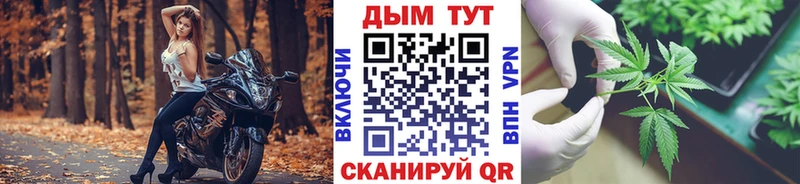 Канабис индика  Зерноград 